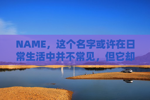 NAME，这个名字或许在日常生活中并不常见，但它却在某些领域里扮演着重要的角色。今天，让我们一起来探索这个名字背后的故事和意义